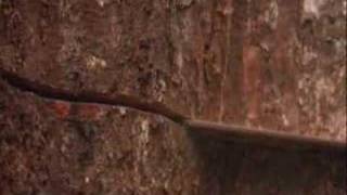 thomas D. gebet an den planeten