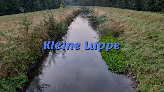 Kleine Luppe