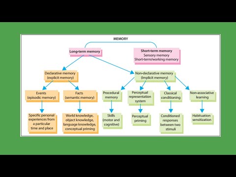 Memory Systems in the Brain