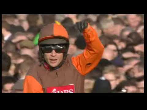 2011 totesport Cheltenham Gold Cup - Cheltenham Festival