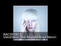 Architect - Immaterial (The Walton Hoax Remix)