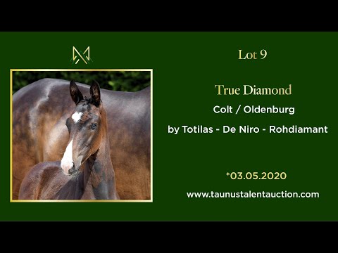 Lot 09 - True Diamond
