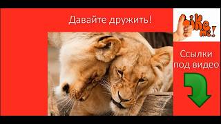 Как загрузить видео на Liveinternet Как загрузить видео на День-Москвы.РФ 

Сообщество Москва и Подмосковье #ДеньМосквы #ДеньМосквыРФ #соцрепост

Как загрузить видео на Liveinternet Как загрузить видео на День-Москвы.РФ _ урок