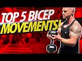 Top 5 Bicep Movements - Dumbbells (Summer 2020)