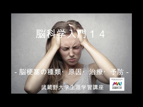 経済学科 脳科学入門14 脳梗塞の種類・原因・治療・予防