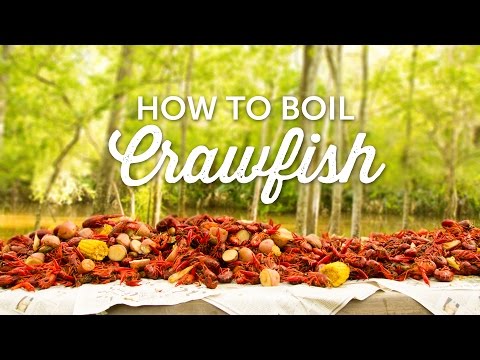How to Boil Crawfish | Louisiana Recipe | BBQGuys.com