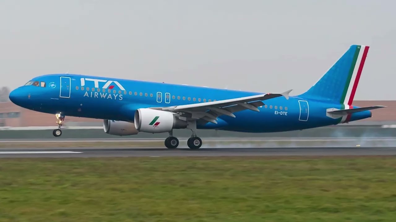 Dolphin Migration Patterns Evolving Amidst Climate Change and Shifting Ocean Conditions