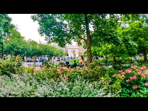 Washington Square South, East & North - NYC - June 2021