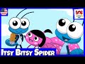 Itsy Bitsy Spider Bob Zoom