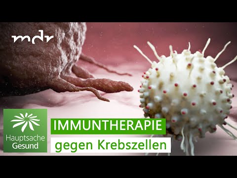 Schwarzer Hautkrebs – wie man ihn erkennt und behandelt | Hauptsache gesund | MDR