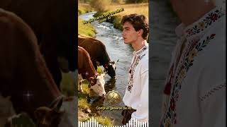 Download lagu Nu știu mamă ce i cu mine (Cover AI) mp3