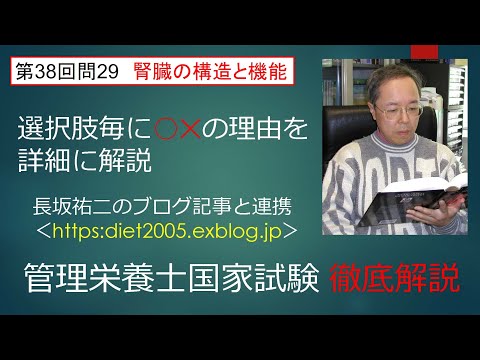 看護学科 腎臓の構造と機能38-29