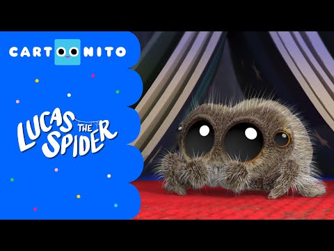 Lucas the Spider: White Bone the Ghost