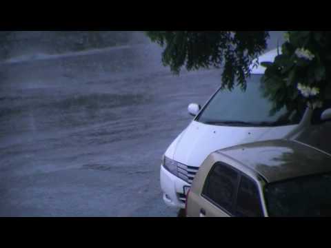 Life in a day! 24 July 2010 11