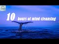 🌊 10 HOURS OF CLEAN SLEEP 🌊 LOOPED VIDEO # relax music #calm mind # pianos