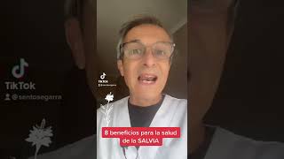 8 BENEFICIOS para la SALUD de la SALVIA