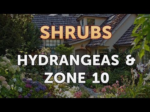 How to Prune a Bottlebrush Shrub