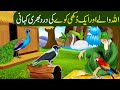 Allah Wale Aur Aik Dukhi Kaway Ki Kahani Story Of A Crow And Wise Man Islamic Stories In Urdu Hindi