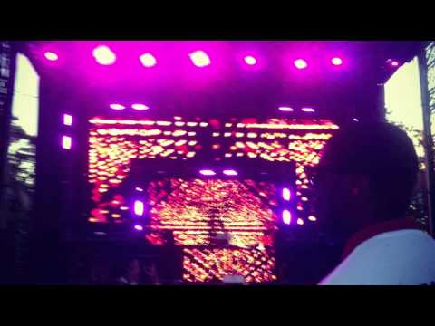 Lrads, Animals, and Good Times