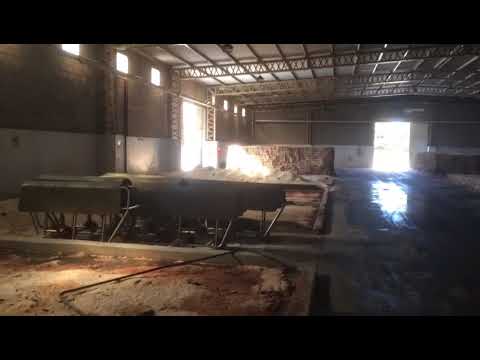 Natural printed wet salted cattle hides