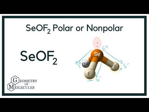 Seof2