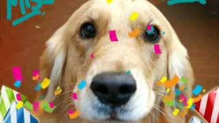 You Belong With Me - Butch Walker (cover of Taylor Swift)