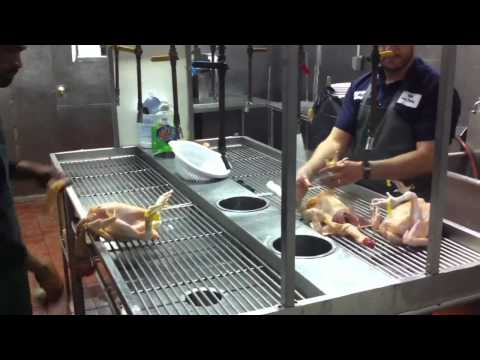 download lagu mp3 mp4 Fresh Halal Chicken Shop Near Me, download lagu Fresh Halal Chicken Shop Near Me gratis, unduh video klip Fresh Halal Chicken Shop Near Me