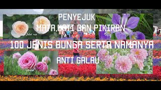 Download lagu Penyejuk Mata dan Hati, 100 Nama dan jenis Bunga mp3 Download lagu Penyejuk Mata dan Hati, 100 Nama dan jenis Bunga mp3