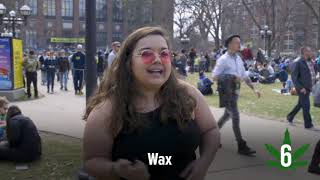 Marijuana Slang Terms in 20 Seconds