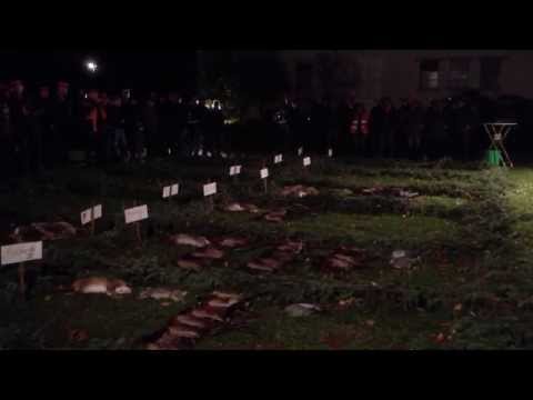 Hubertusjagd 2013 in Hopsten  - "Strecke verblasen"