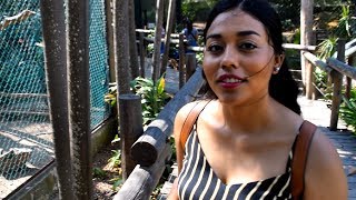 Fun At Colombia Zoo