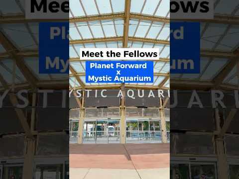 Meet the Planet Forward Mystic Aquarium Fellows.