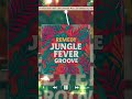 Remedy (Jungle Fever Groove Edition)