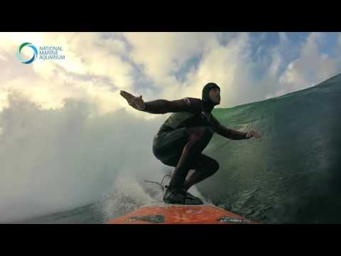 Tom Butler has a message for Surf fans!