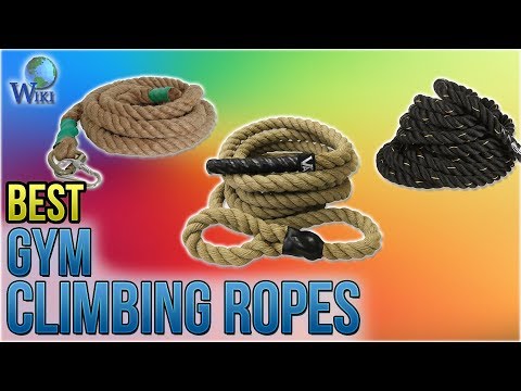 10 best gym climbing ropes