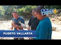 Ocean Treks With Jeff Corwin Puerto Vallarta OceanView Series Princess Cruises