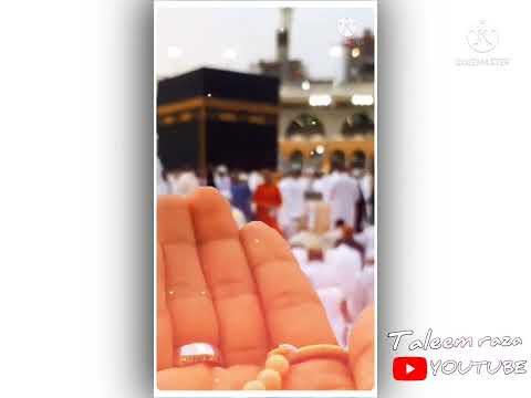 💫Ramzan Ki 19 Iftari🌟🤲 Mubarak🤍 Status | Ramzan Ki Unnisvi Iftari Mubarak🌹 |19 Iftari Status |