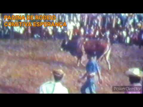 RODEIO EM TOUROS ERA SO APRESENTAÇÃO , TOURO SÓZINHO, RIOLÂNDIA 1972