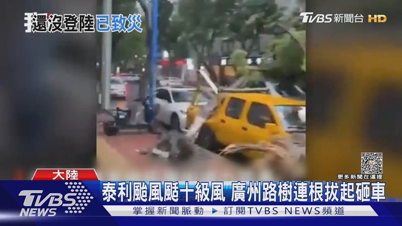 泰利颱風颳十級風 廣州路樹連根拔起砸車