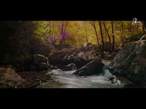 Ti që je zhytur në mëkate, a nuk dëshiron të të falen mëkatet? - Hoxhë Sadullah Bajrami