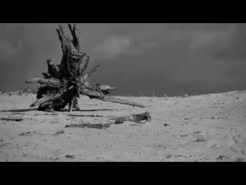 Eve's lament - Wietse Stuurman