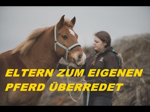 SO habe ich meine Eltern ÜBERREDET