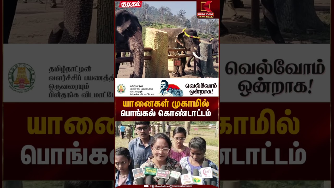 யானைகள் முகாமில் பொங்கல் கொண்டாட்டம் | Coimbatore | Elephant Pongal | Kumudam News