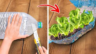 Gardening Hacks: Plastic Bottle Craft Ideas for Indoor Planting 🌱