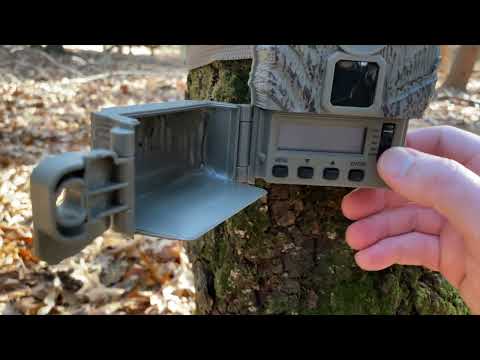 $40 TRAIL CAM REVIEW AND SETUP - Stealth Cam Browtine 16