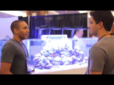 Reaching the world's aquarists, EcoTech Marine a truly global small business. 