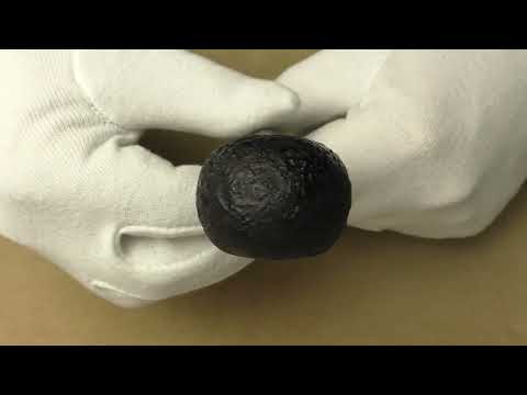 Al Pascià 1906 - pipe D286