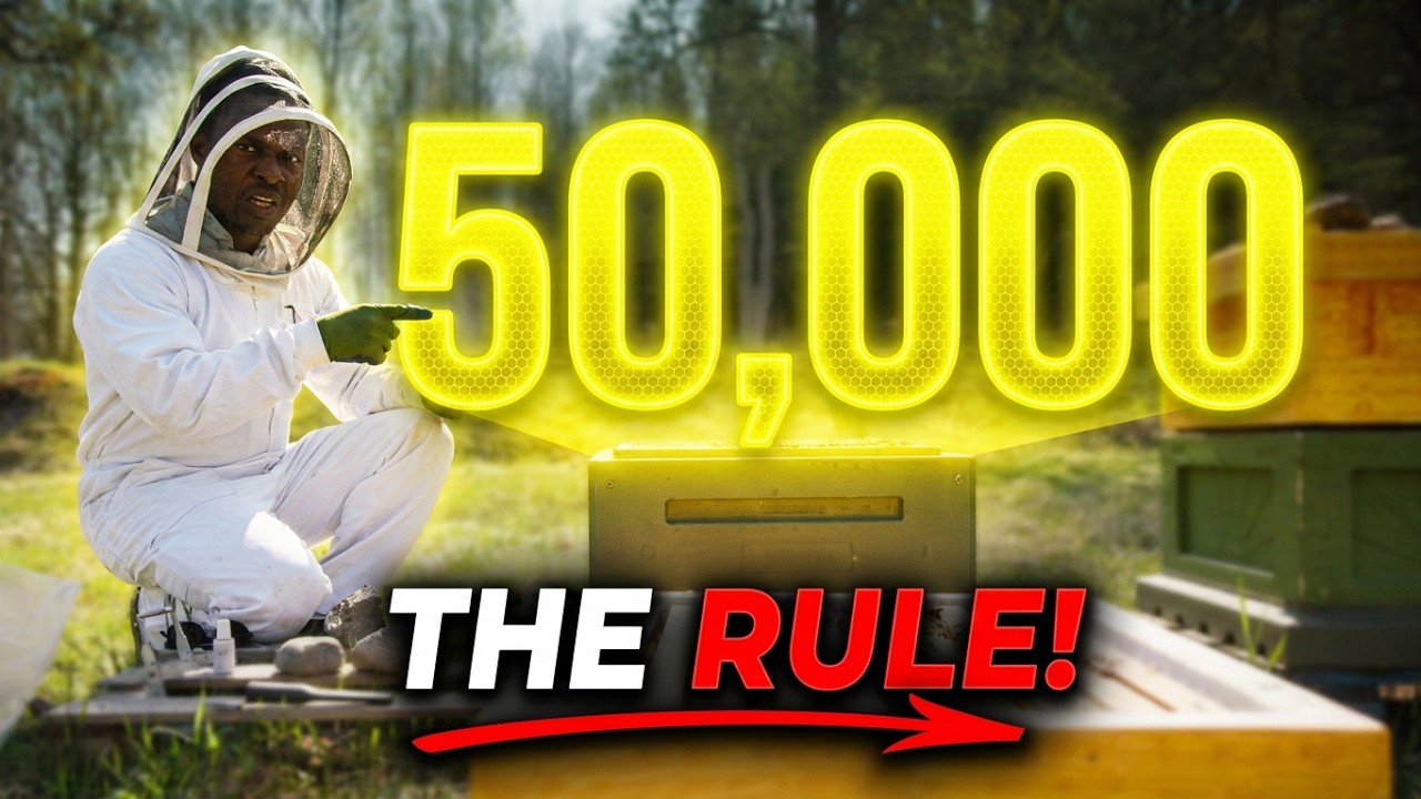 The 50,000 Cell Rule: Why Your Hives are Too Big