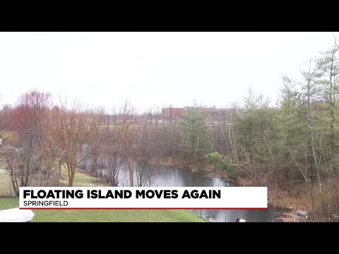 Island Pond in Springfield on the move again