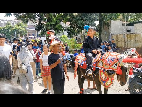 Kuda renggong bikin macet